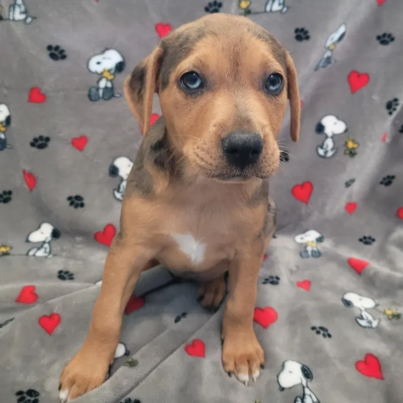 Mrs Squarepants thumbnail 2