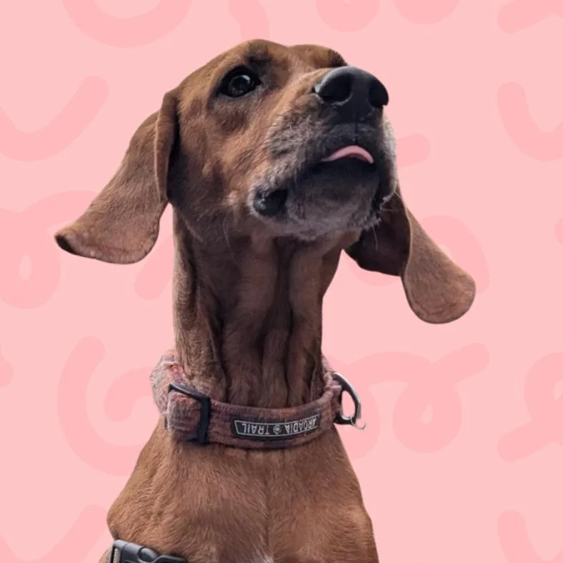 Reba thumbnail 2