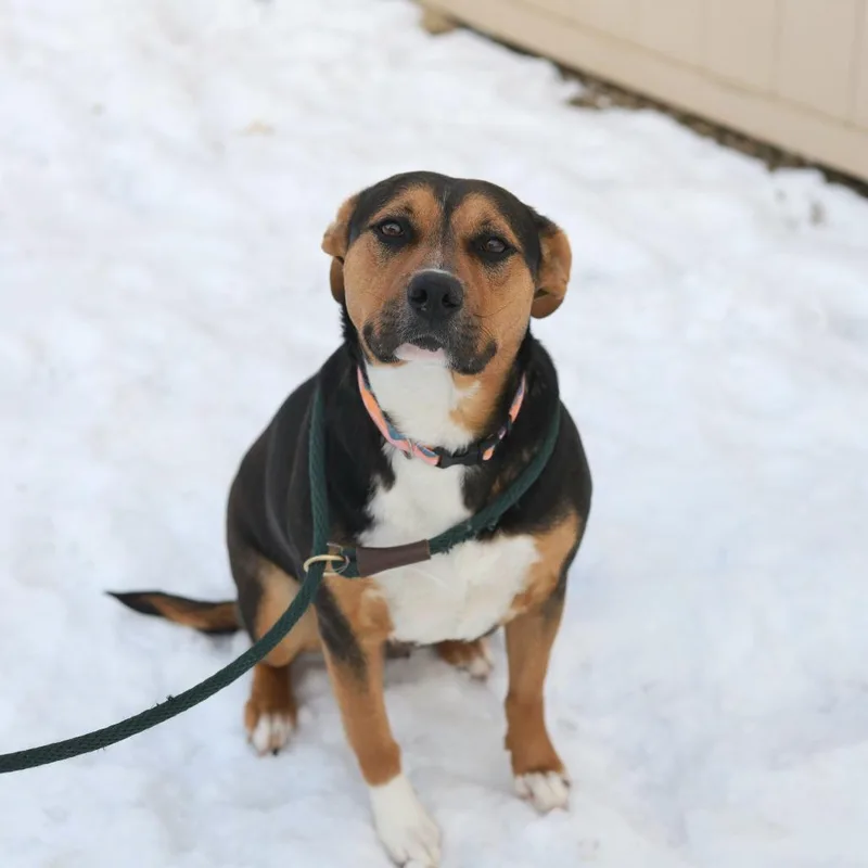 Polly Pocket thumbnail 2