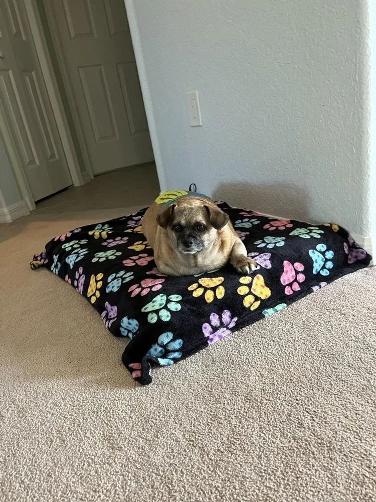 Buster Rhymes