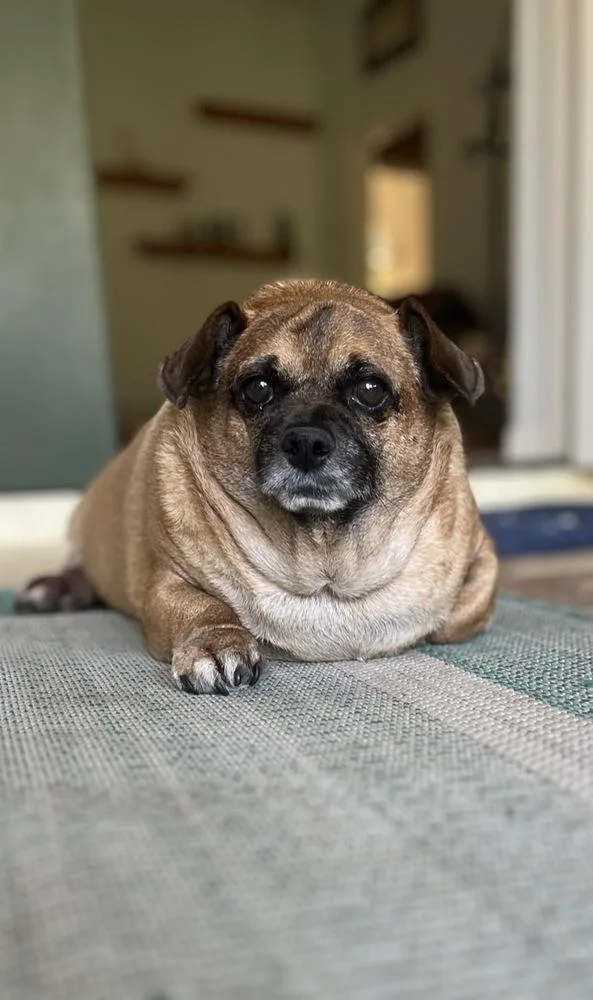 Buster Rhymes thumbnail 3