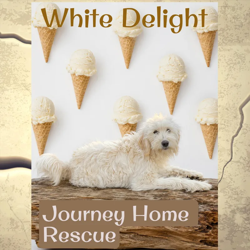 White Delight thumbnail 2