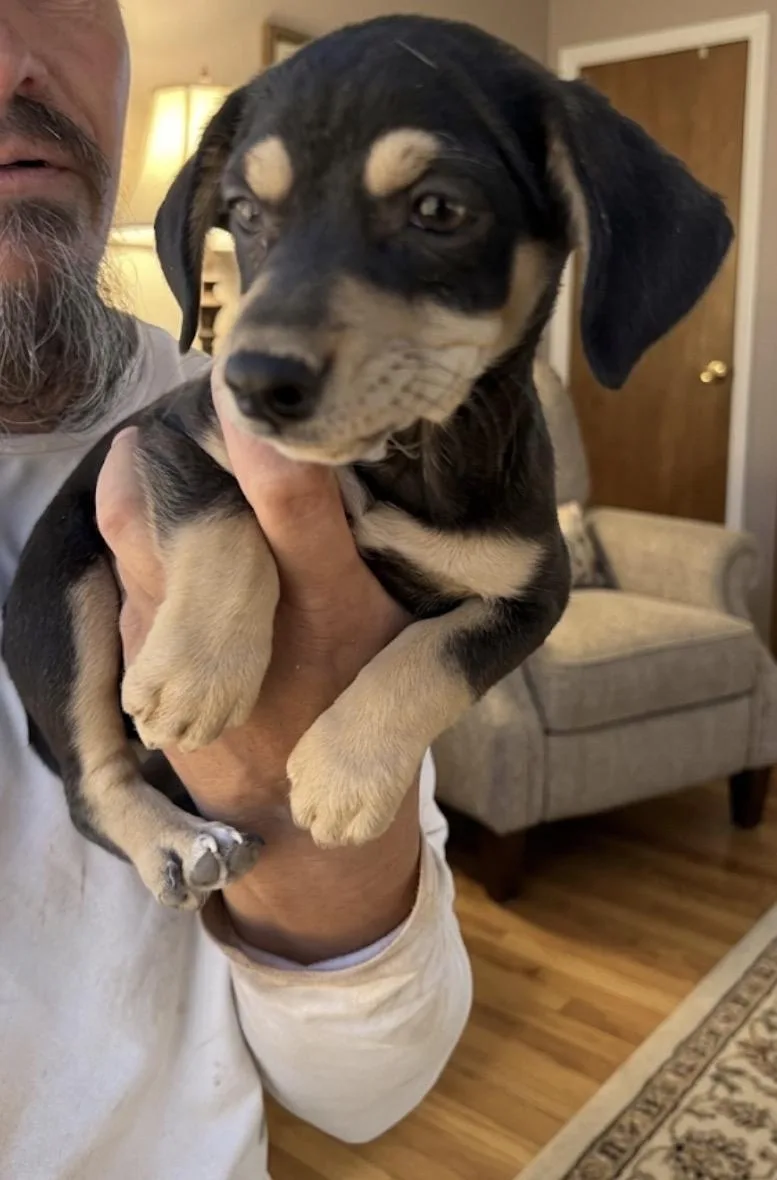 Arlo thumbnail 2