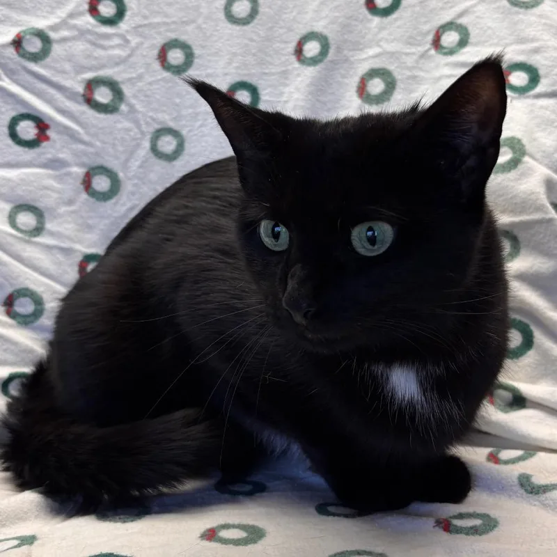 Mama Charlie thumbnail 2