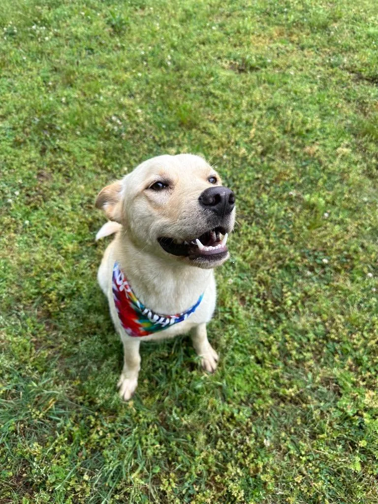 Coby Jack thumbnail 2