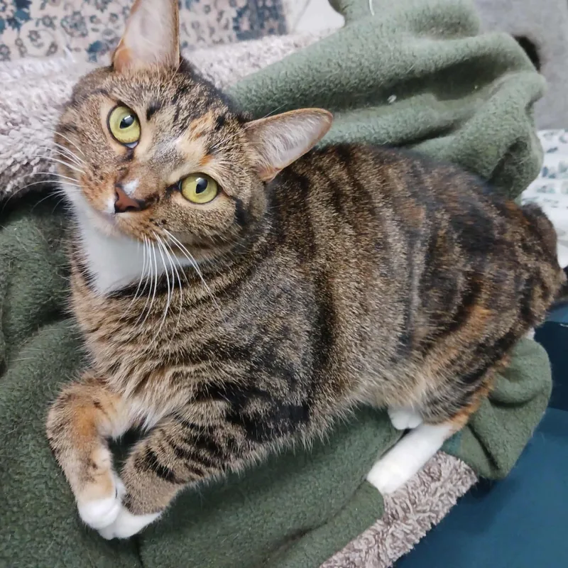 Sally & Birdie thumbnail 2