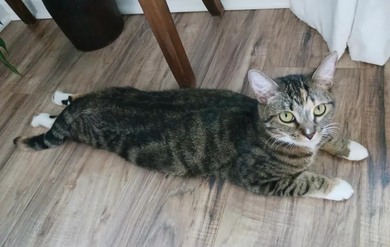 Sally & Birdie thumbnail 3