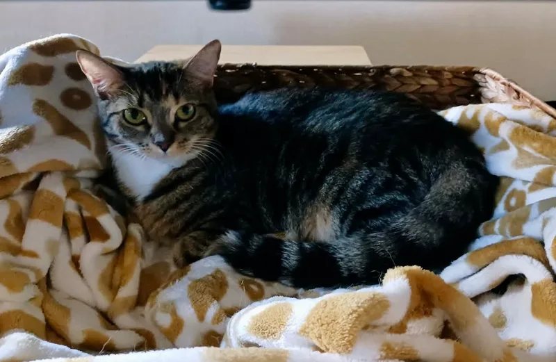 Sally & Birdie thumbnail 5