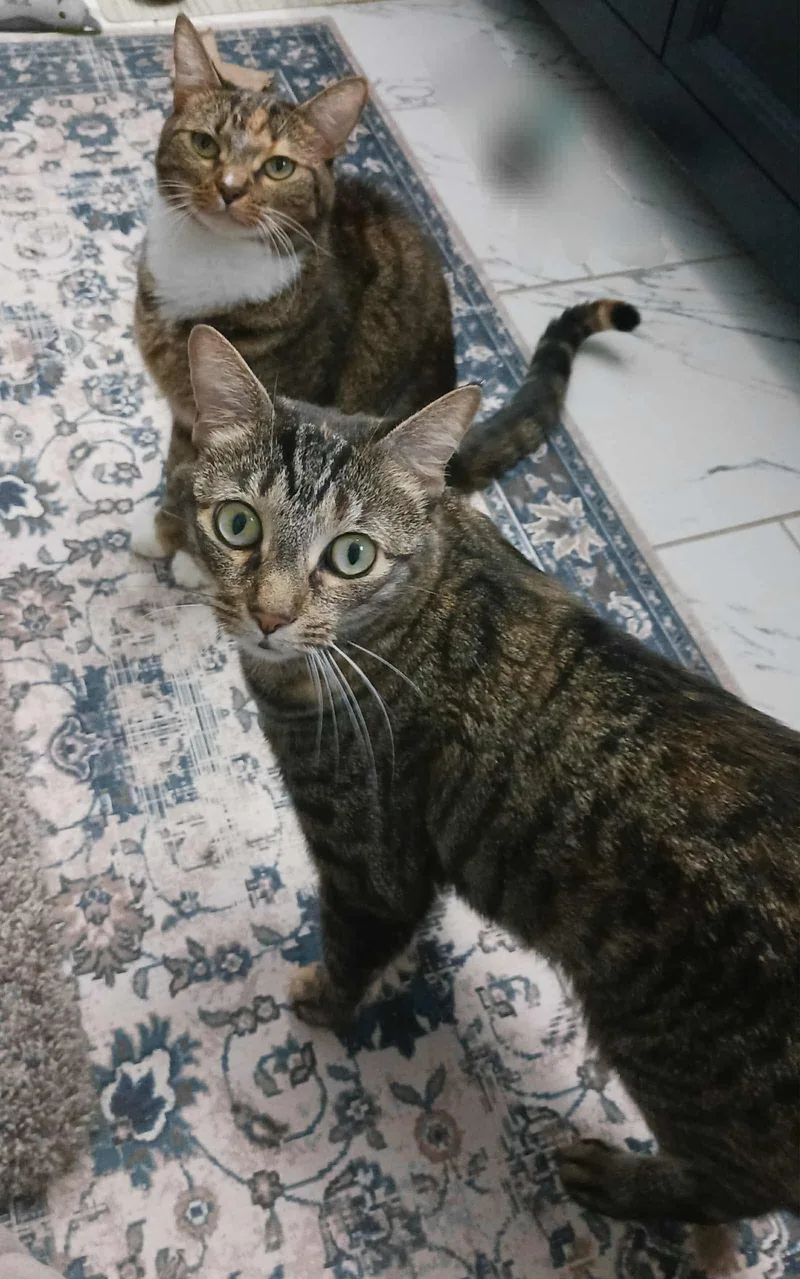 Sally & Birdie thumbnail 6