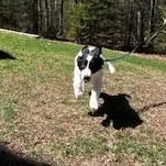 Bonnie In Maine thumbnail 2