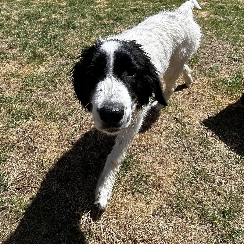 Bonnie In Maine thumbnail 3