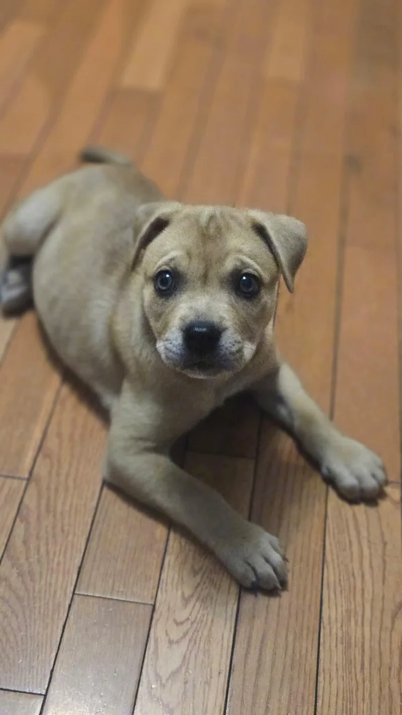 Betty thumbnail 3