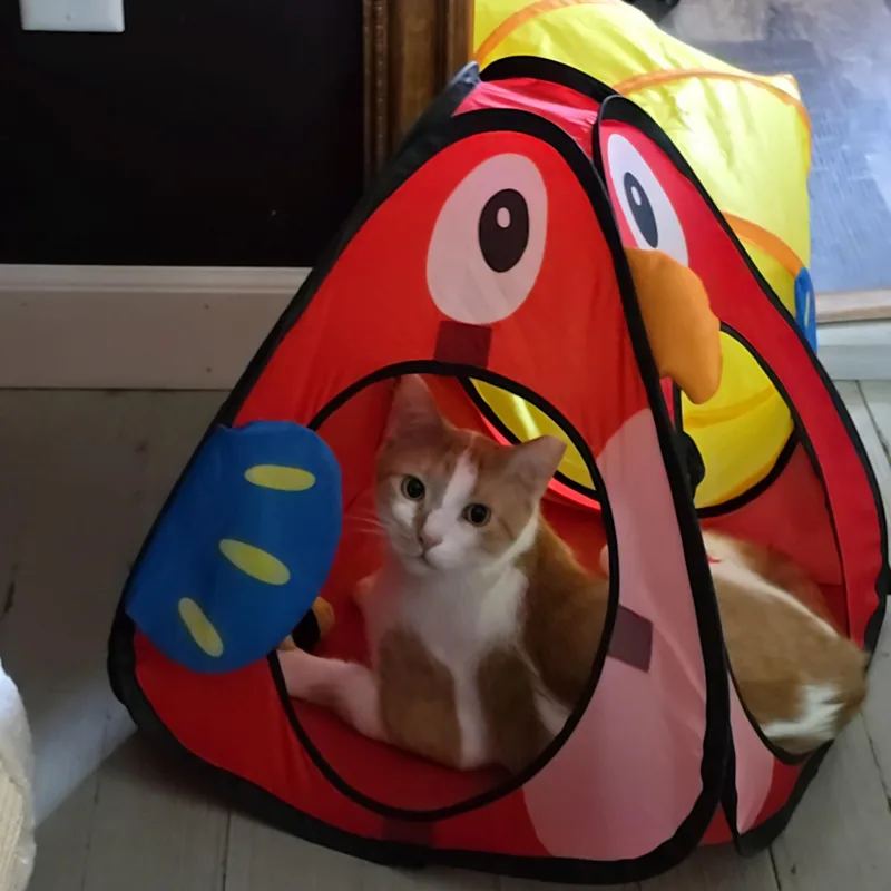 Coco thumbnail 3