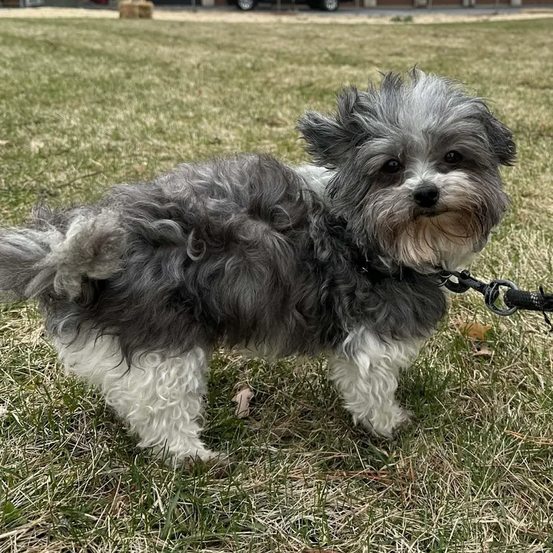 Estancia thumbnail 2