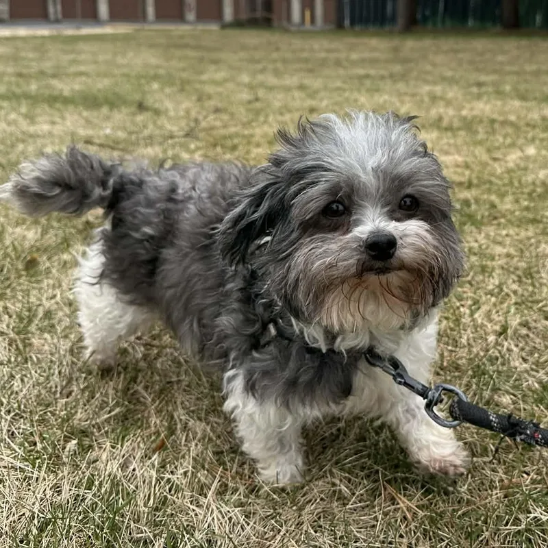 Estancia thumbnail 3