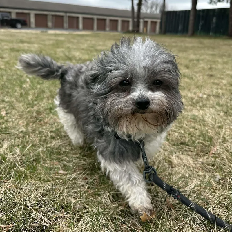 Estancia thumbnail 4