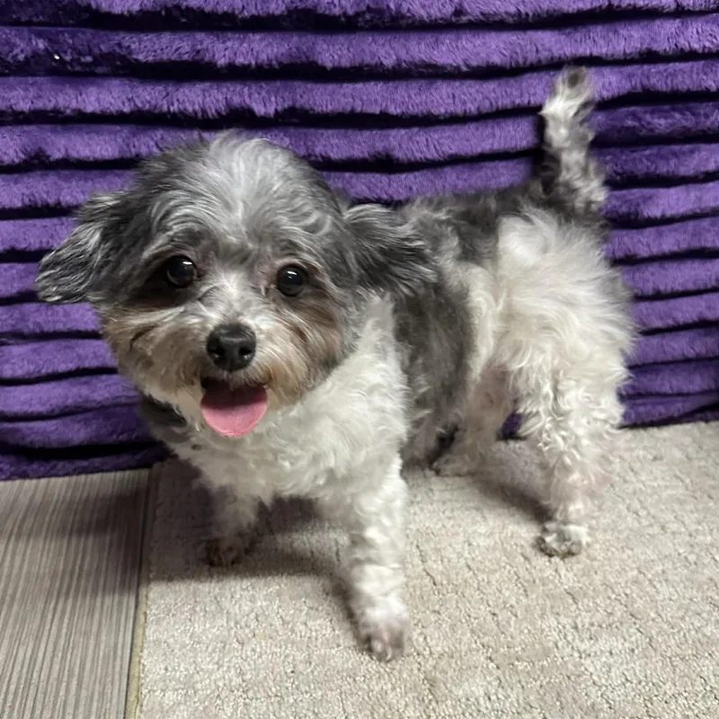 Estancia thumbnail 5