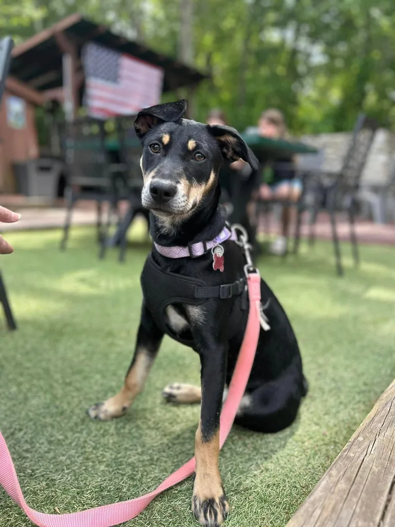 Dot Clarke Aka Dip thumbnail 2