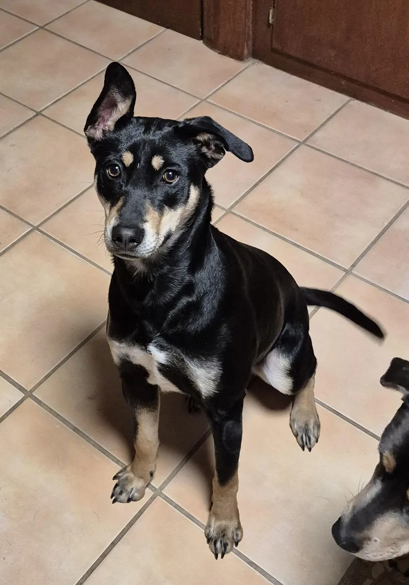 Dot Clarke Aka Dip thumbnail 3