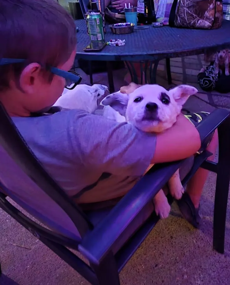 Cluckers thumbnail 4