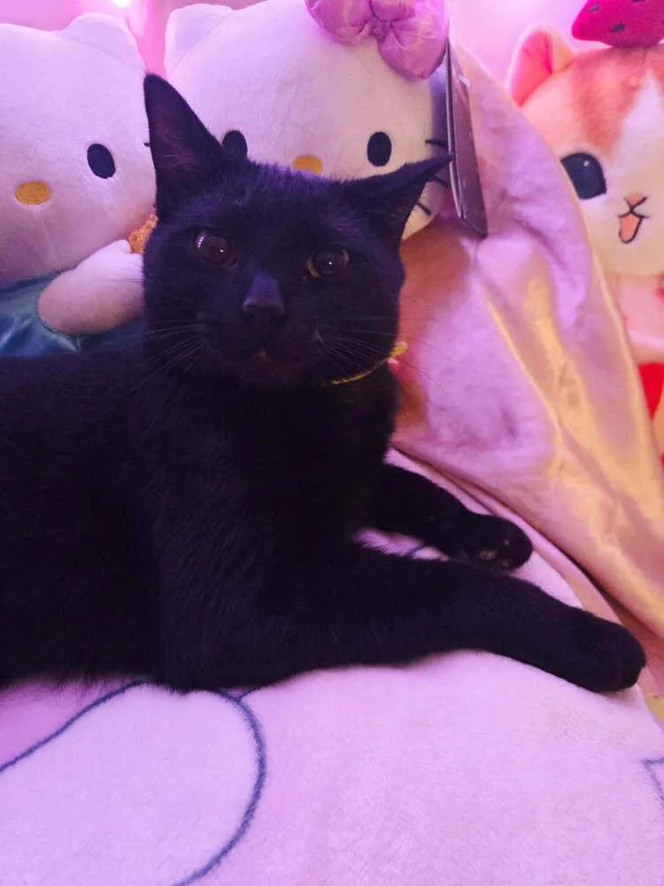 Precious thumbnail 5