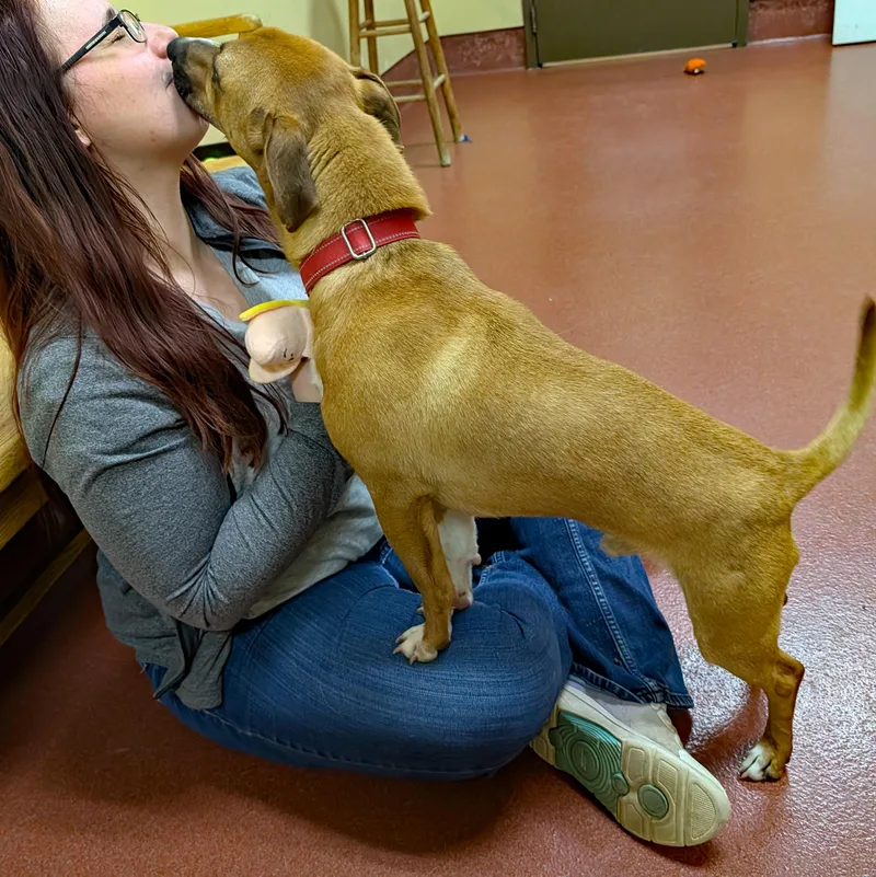 French Fry thumbnail 3