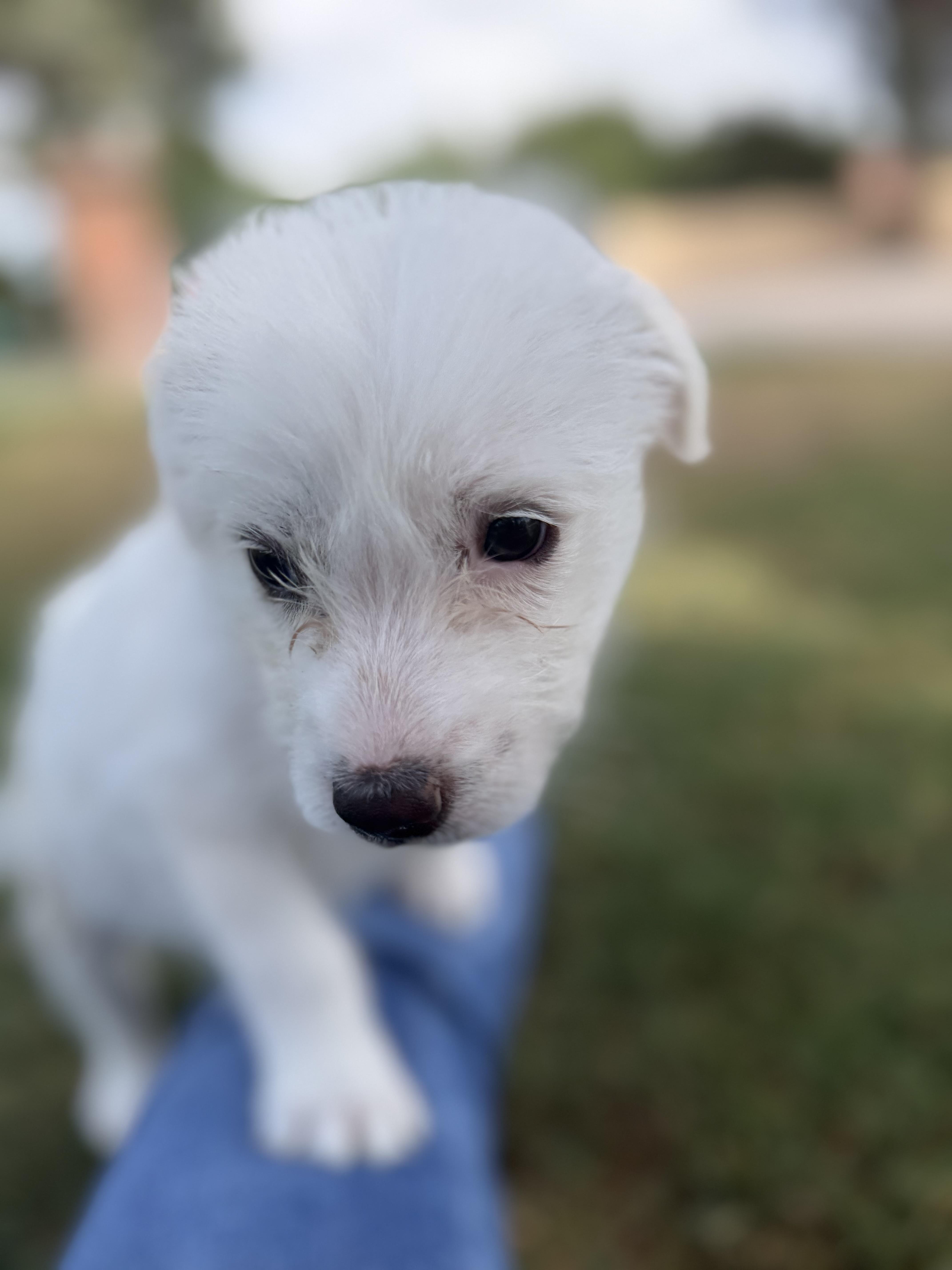 Maggie