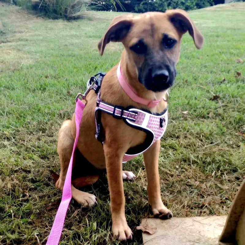 Cami "one Girl. Much