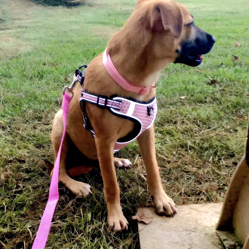 Cami "one Girl. Much thumbnail 3