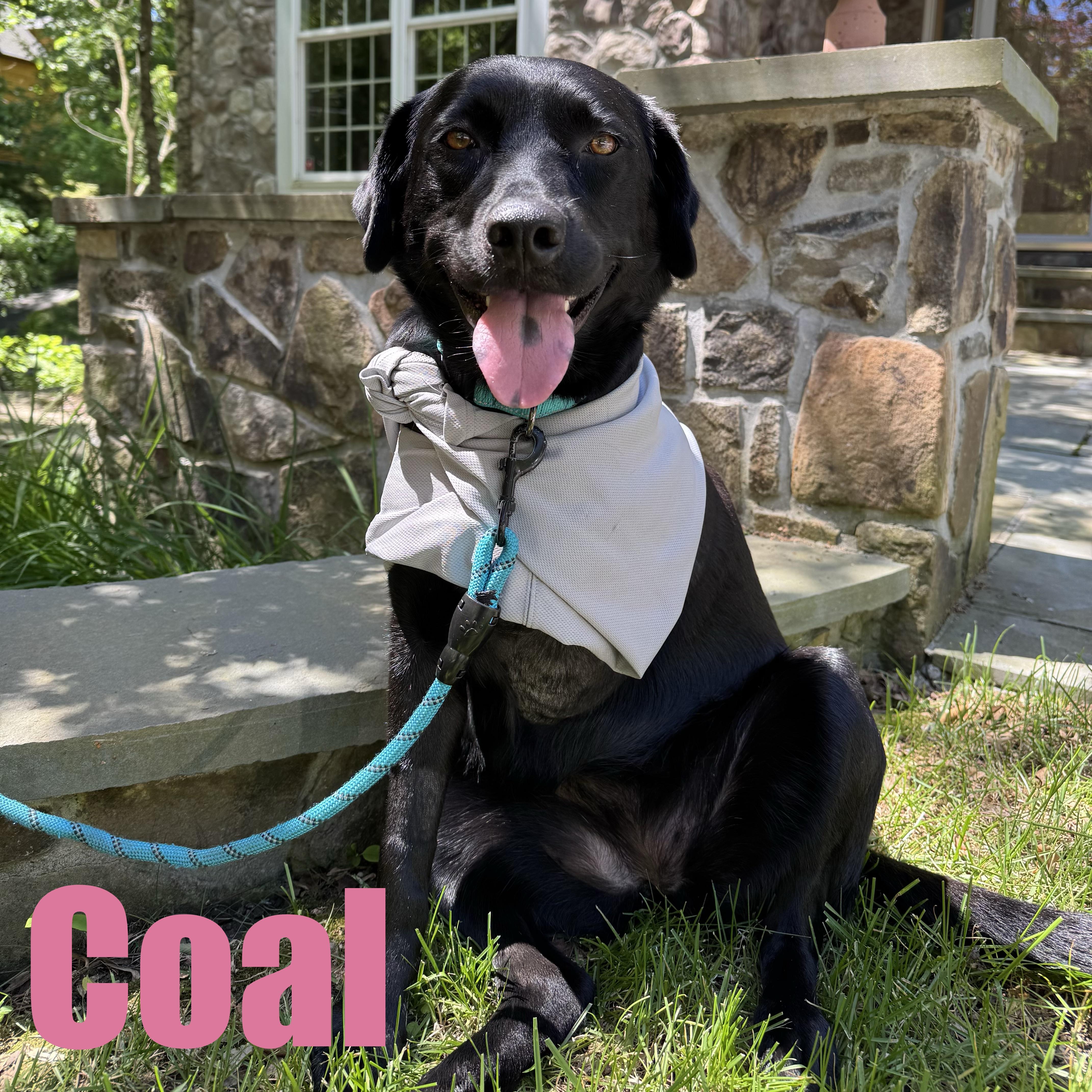 Coal thumbnail 2