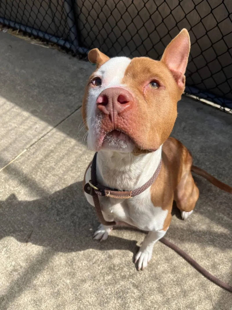 Knoxville thumbnail 2