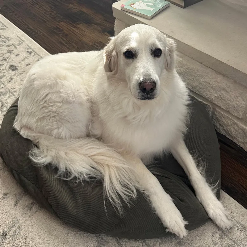 Chloe