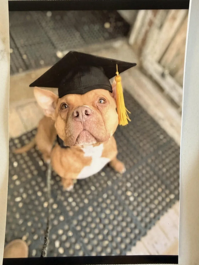 Roscoe thumbnail 2