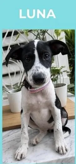 Luna