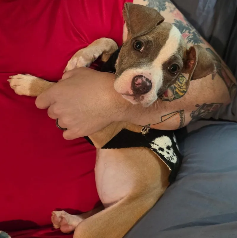 Macy thumbnail 2