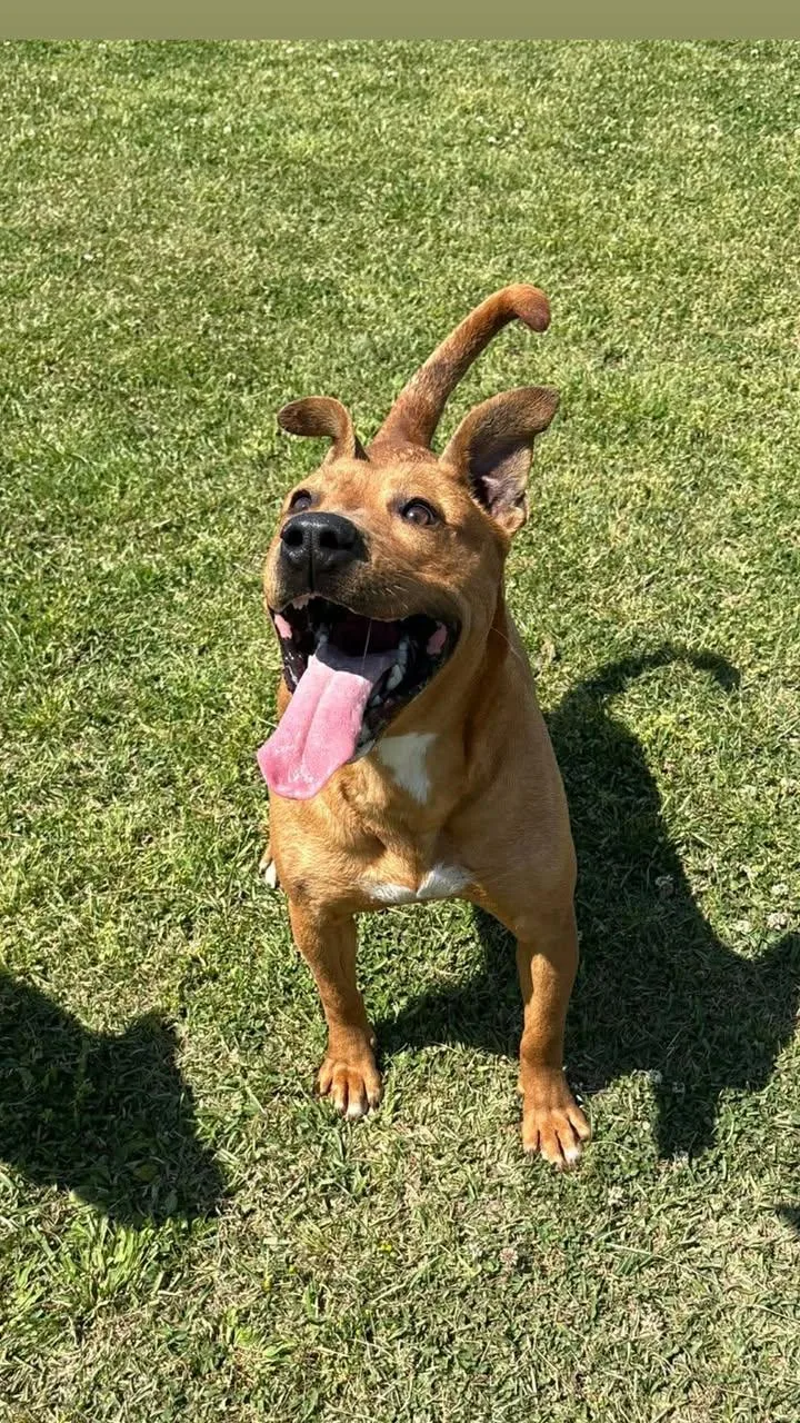 Svetlana thumbnail 3