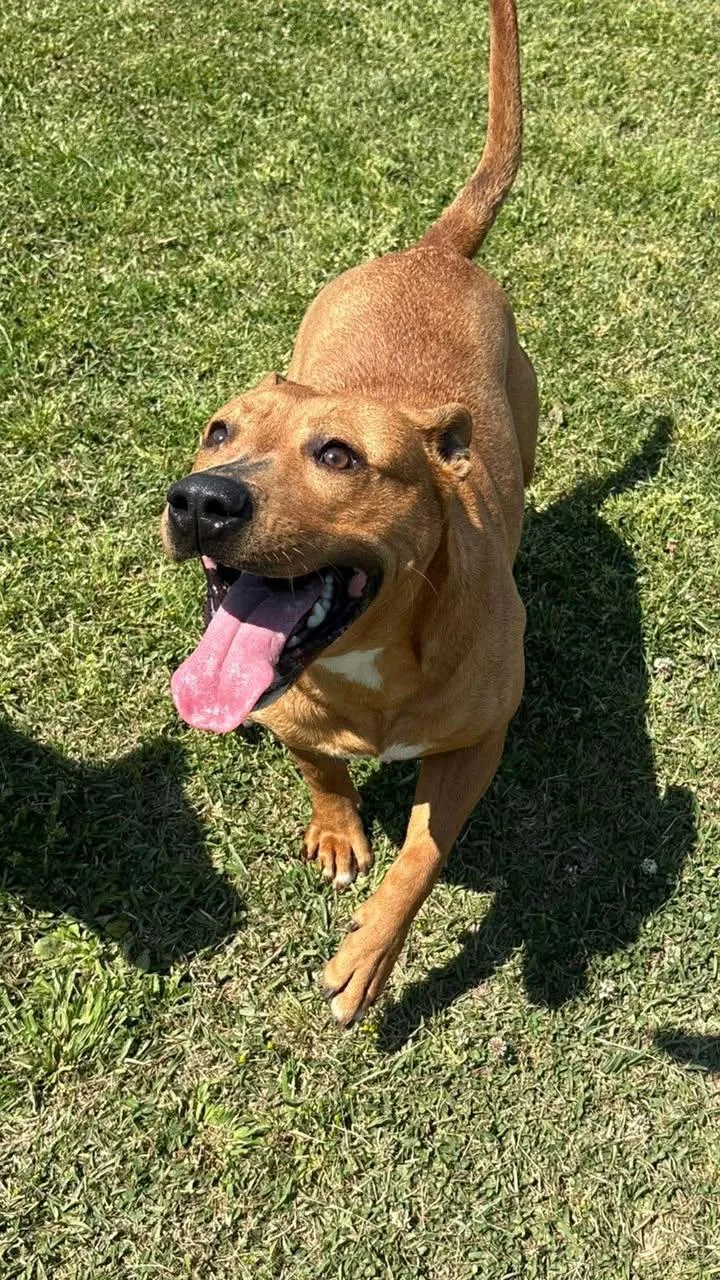 Svetlana thumbnail 4