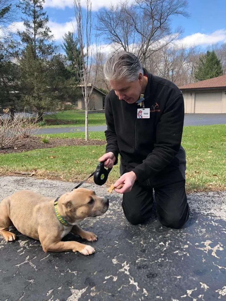 Charity  Lowell  thumbnail 2