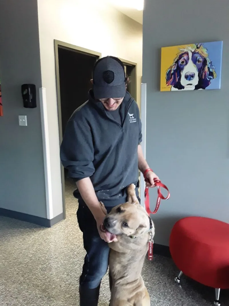 Charity  Lowell  thumbnail 3