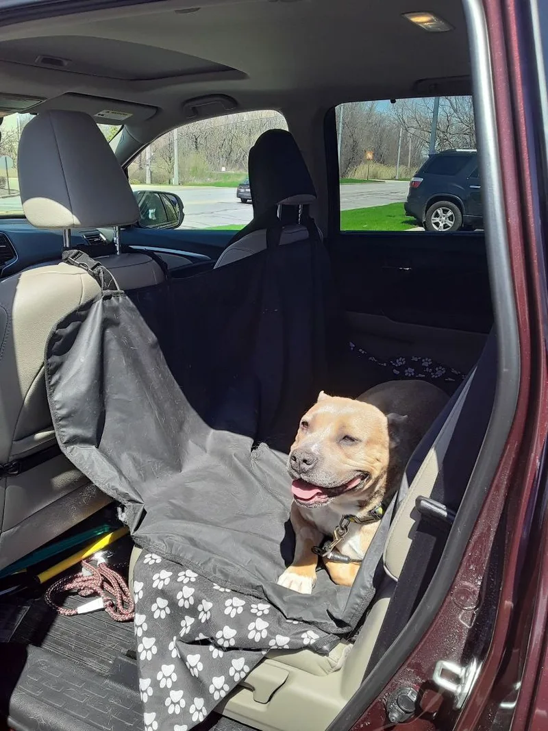 Charity  Lowell  thumbnail 4