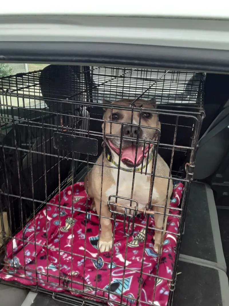 Charity  Lowell  thumbnail 5