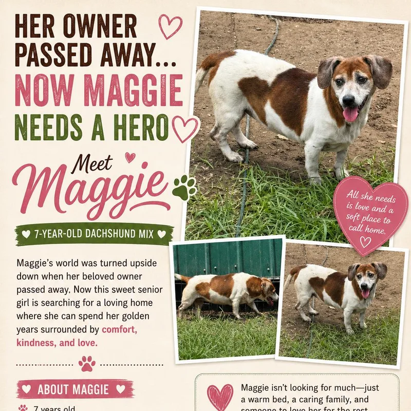 Maggie