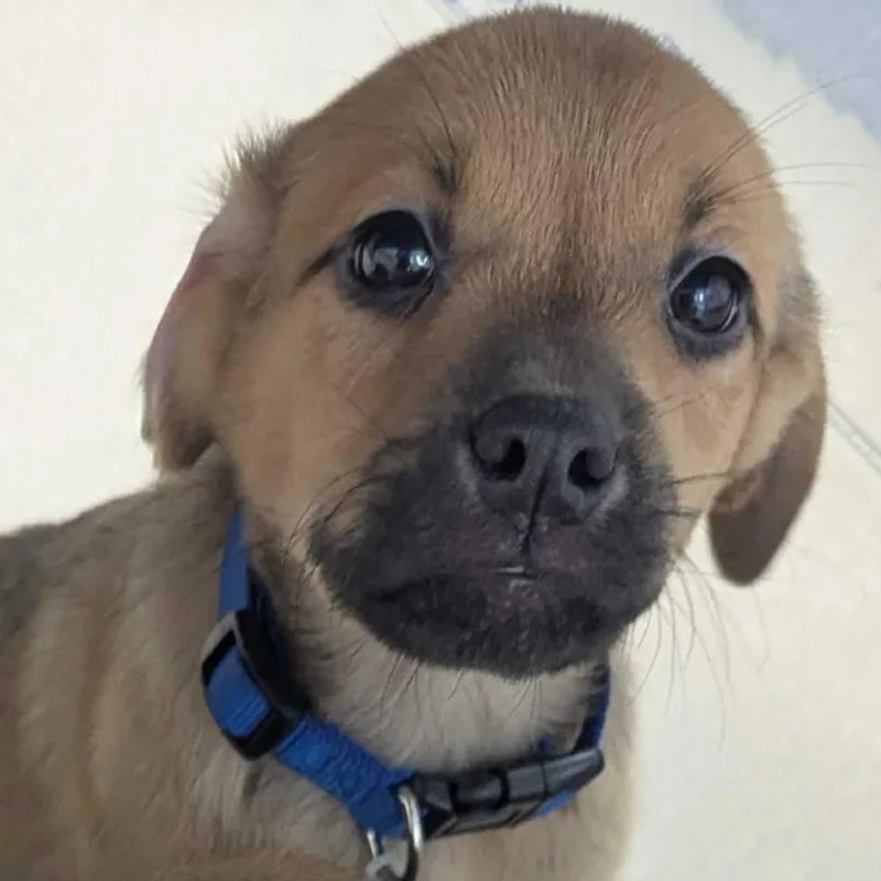 Kennedy Space Center thumbnail 2