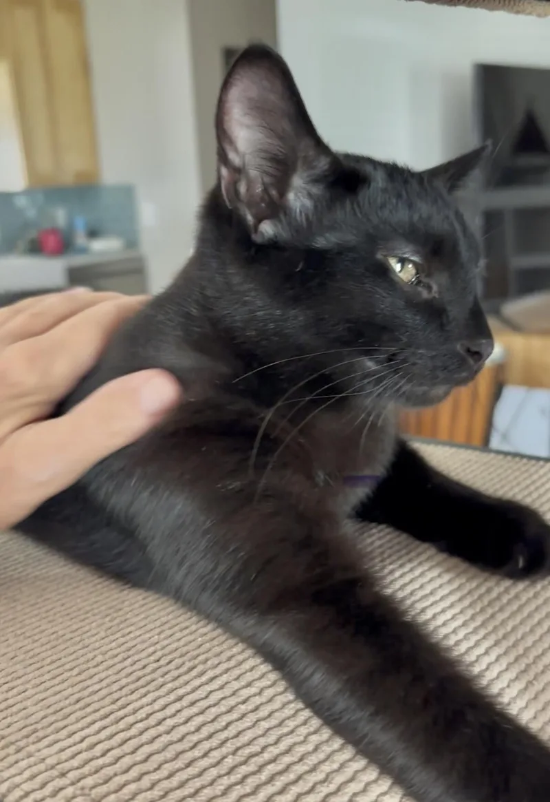 Pierrevideo thumbnail 3