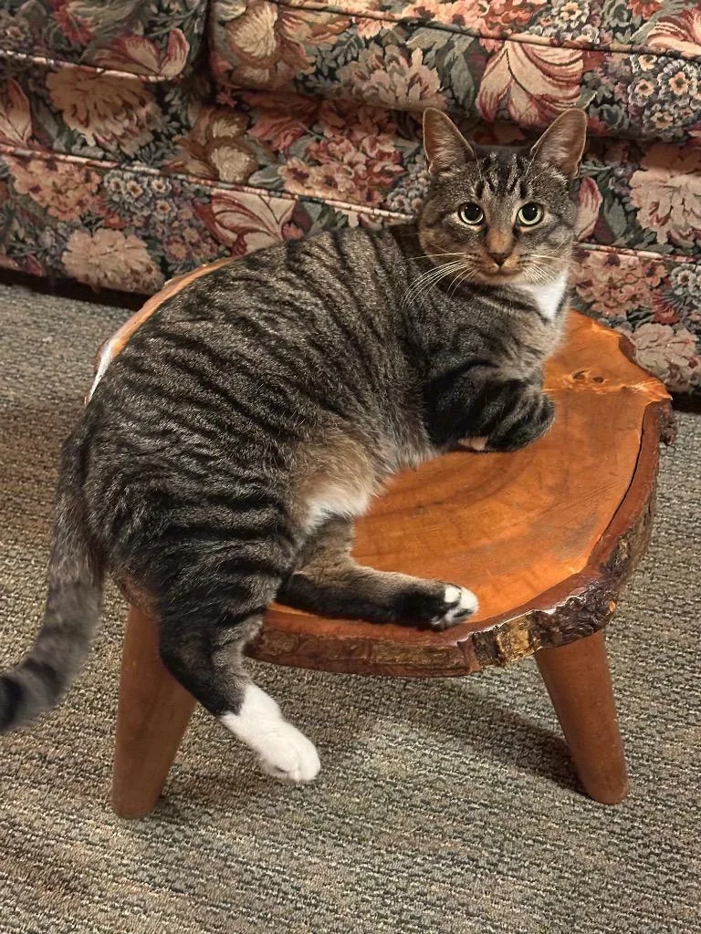 Esther