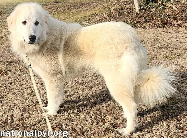 Krissa In Ky  thumbnail 3