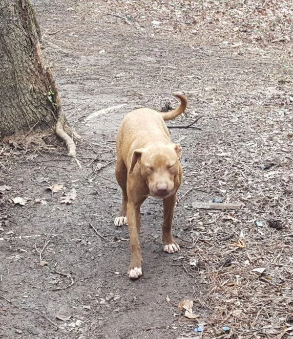 Merry Lee thumbnail 2