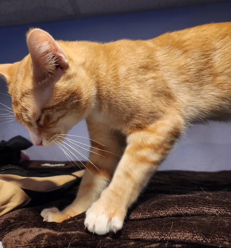 Tom Petty thumbnail 3