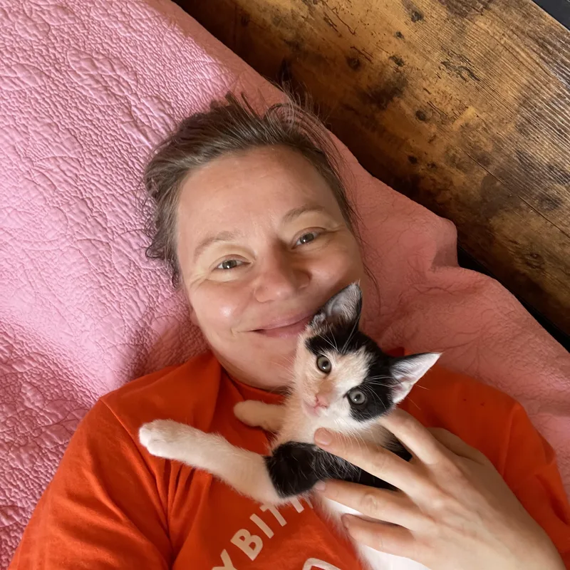 A baby medium-sized female Black Domestic Short Hair cat named Static for adoption in Brooklyn, NY