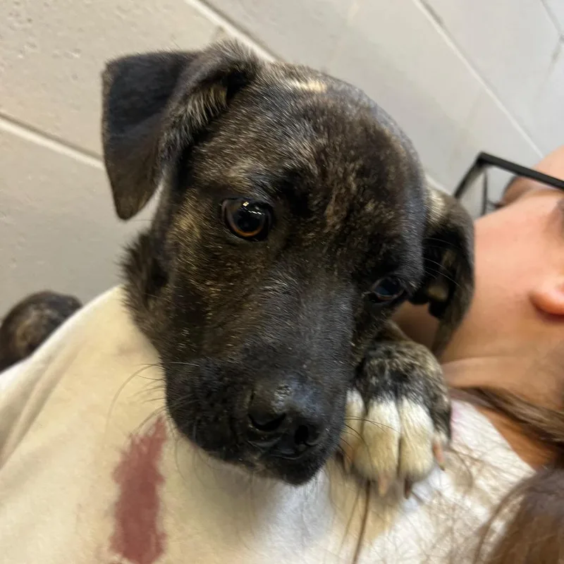 Baseball thumbnail 2